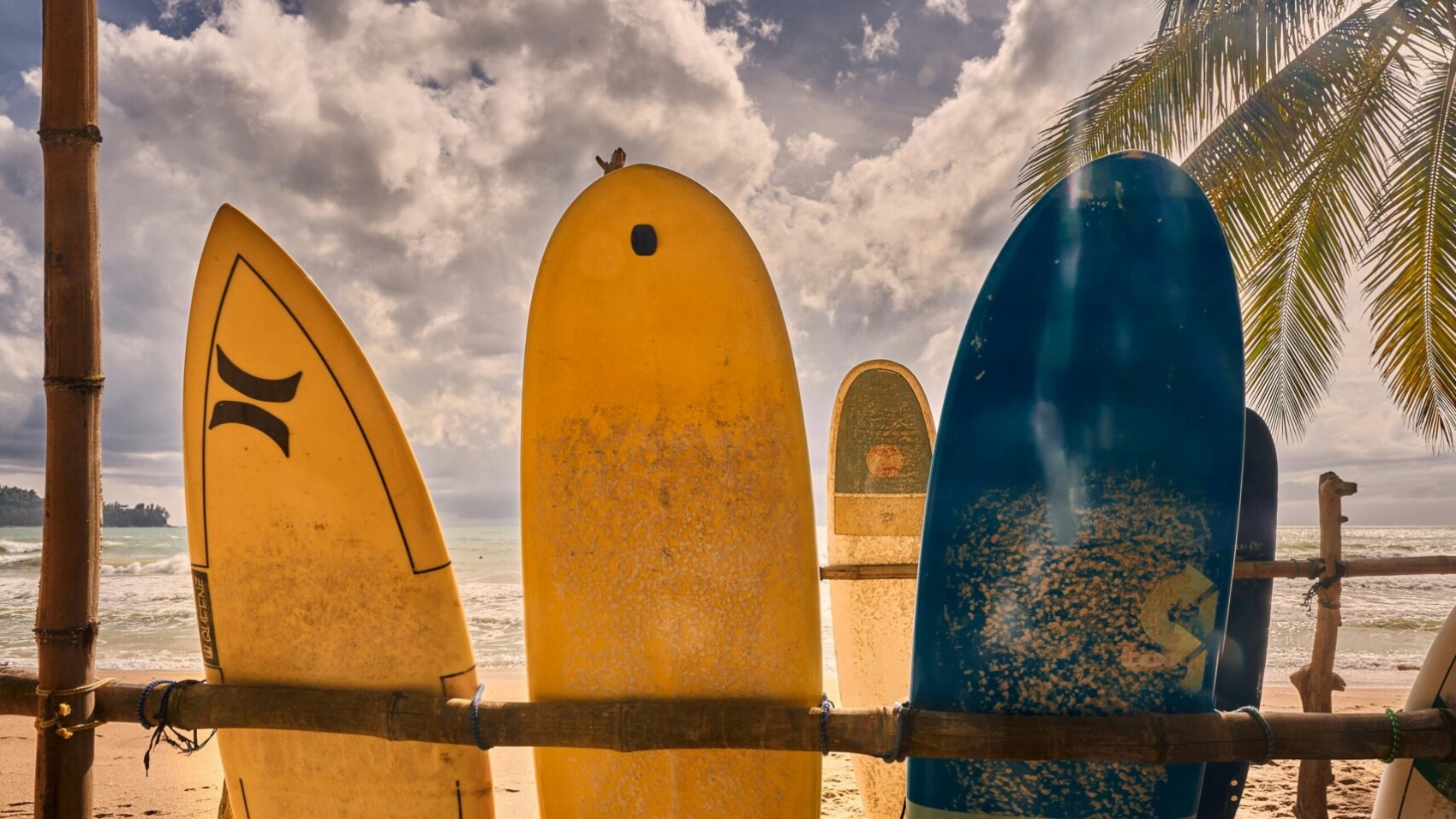 partes de la tabla de surf